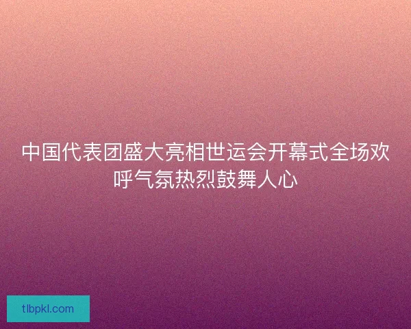 中国代表团盛大亮相世运会开幕式全场欢呼气氛热烈鼓舞人心 中国代表团盛大亮相世运会开幕式全场欢呼气氛热烈鼓舞人心